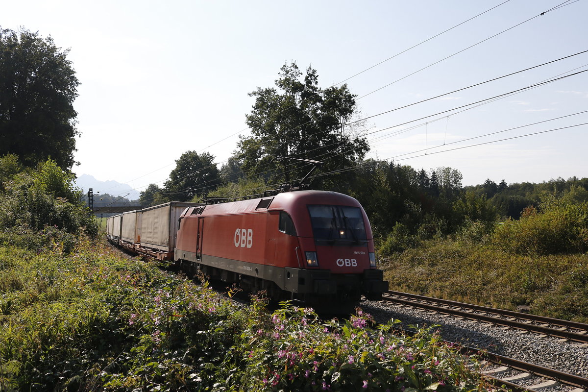 1016 004 am 18. September 2018 bei Grabenst�tt.