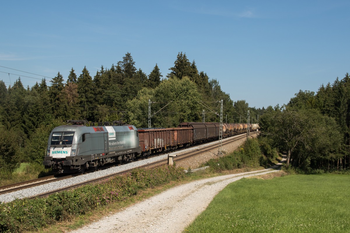 1116 141  Siemens  mit einem G�terzug aus Salzburg kommend am 12. September 2015 bei Grabenst�tt.