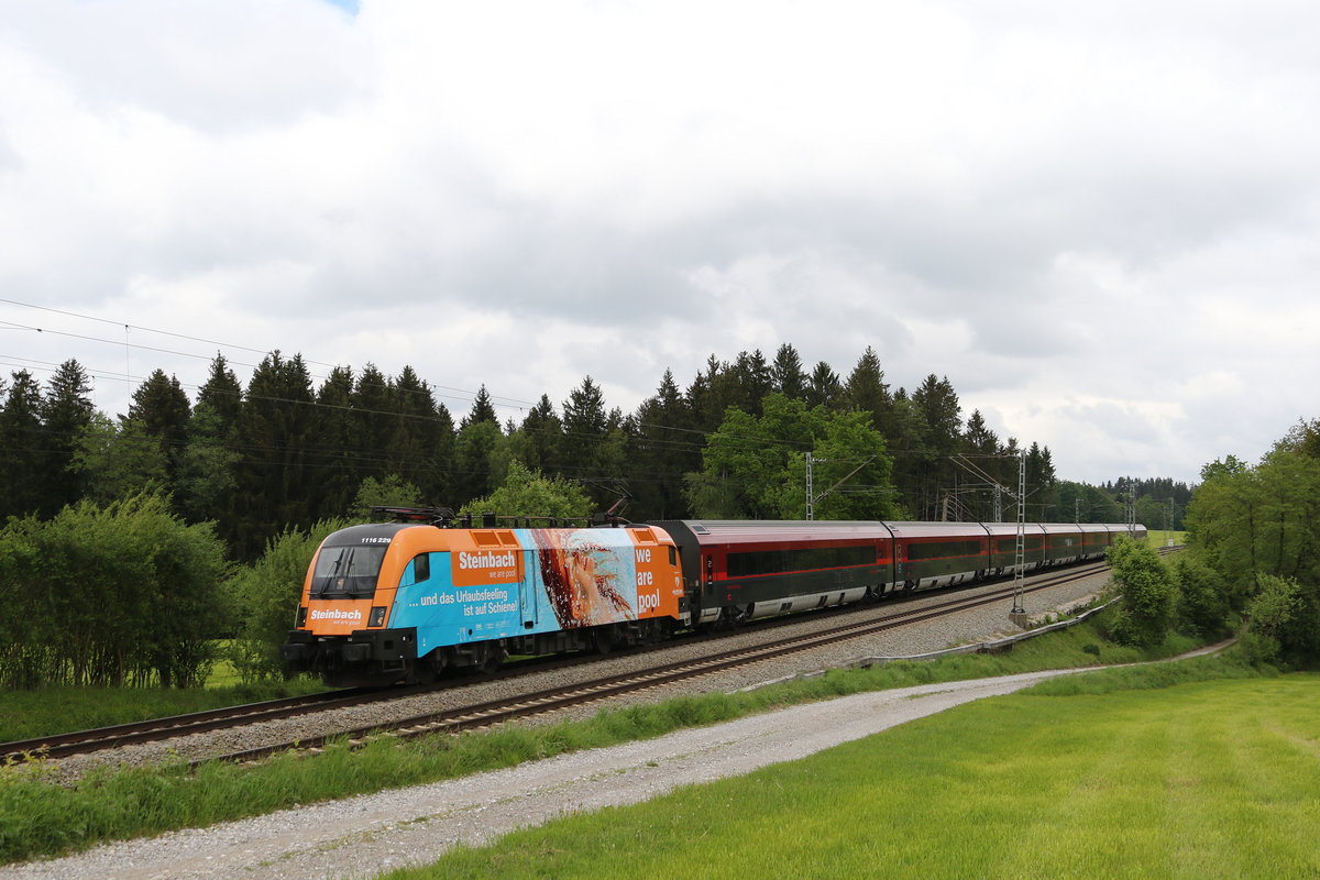 1116 229 mit der neuen  Steinbach -Werbung war am 12. Mai 2020 vor dem Railjet 60 von Wien nach M�nchen im Einsatz. Aufgenommen bei Grabenst�tt im Chiemgau.