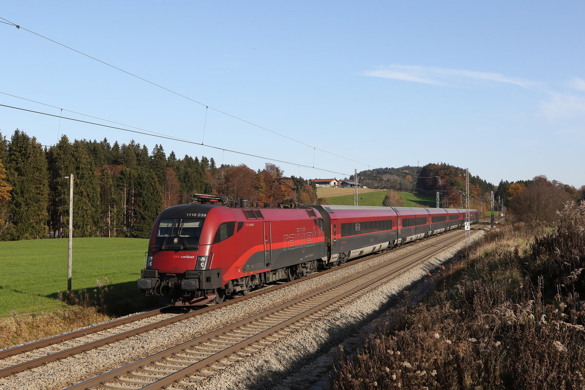 1116 239 am 9. November 2020 bei Grabenst�tt im Chiemgau.