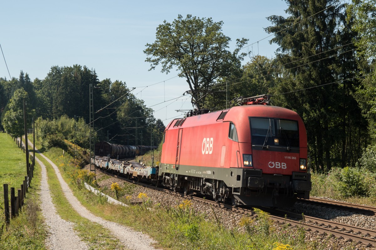 1116 263 mit einem gemischten G�terzug am 12. September 2015 bei Grabenst�tt.