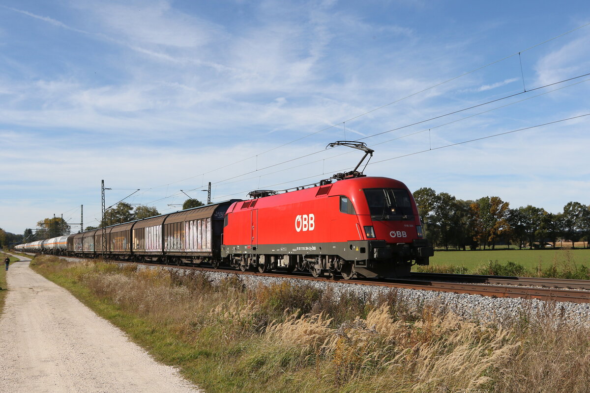1116 264 war am 20. Oktober 2021 mit einem gemischten G�terzug bei �bersee am Chiemsee in Richtung Salzburg unterwegs.