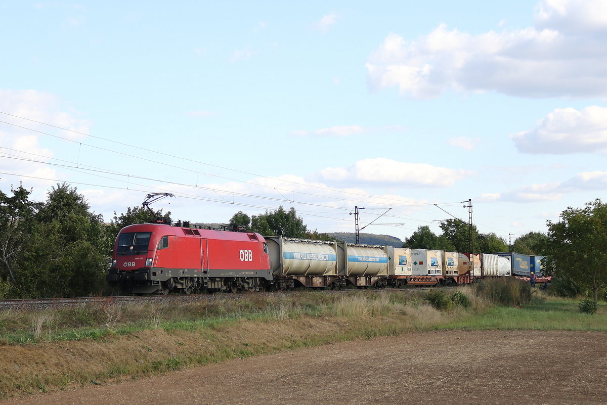 1116 273 mit einem  KLV  aus W�rzburg kommend am 2. September 2019 bei Th�ngersheim.