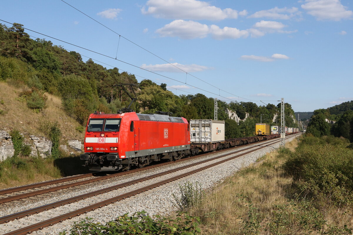 185 054 mit einem Containerzug am 9. August 2022 bei Hagenacker im Altm�hltal.