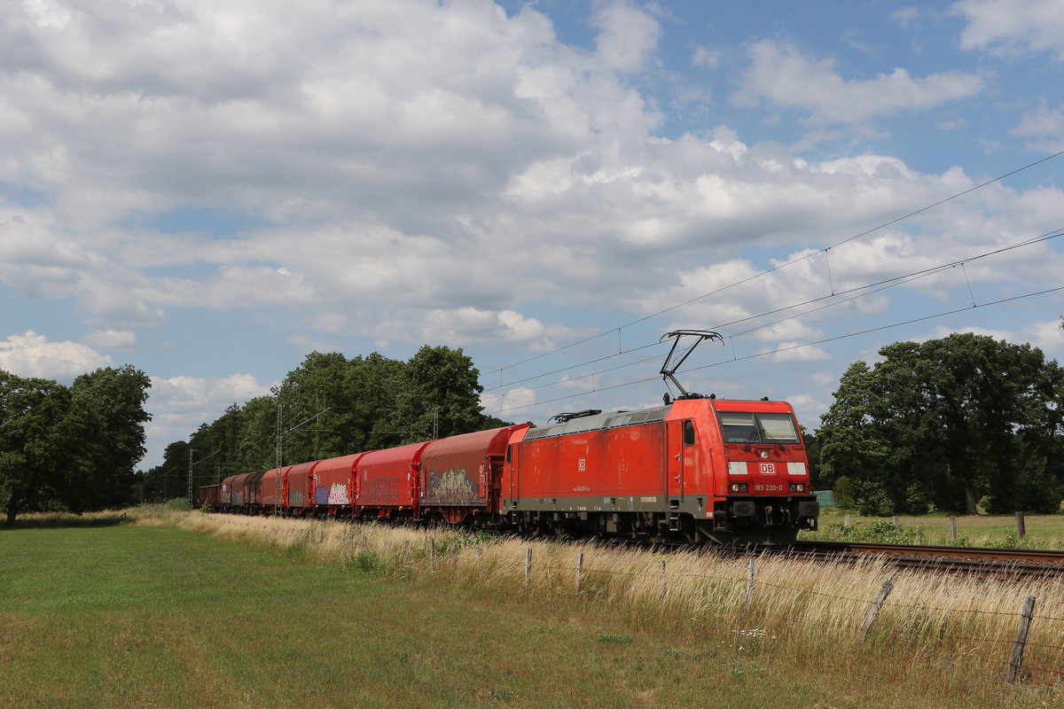 185 230 mit einem gemischten G�terzug am 29. Juni 2020 bei Nindorf in Niedersachsen.