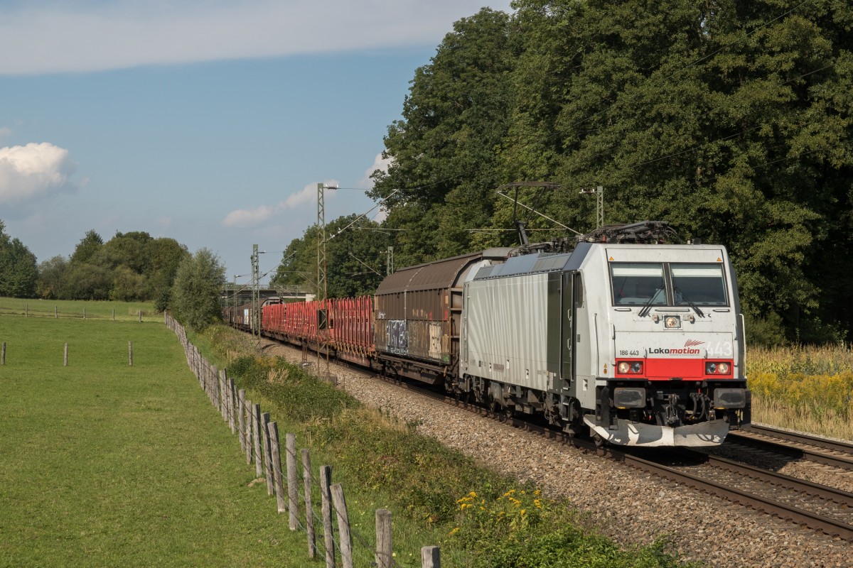 186 443 diesmal am 11. September 2015 aus M�nchen kommend in Vogl.