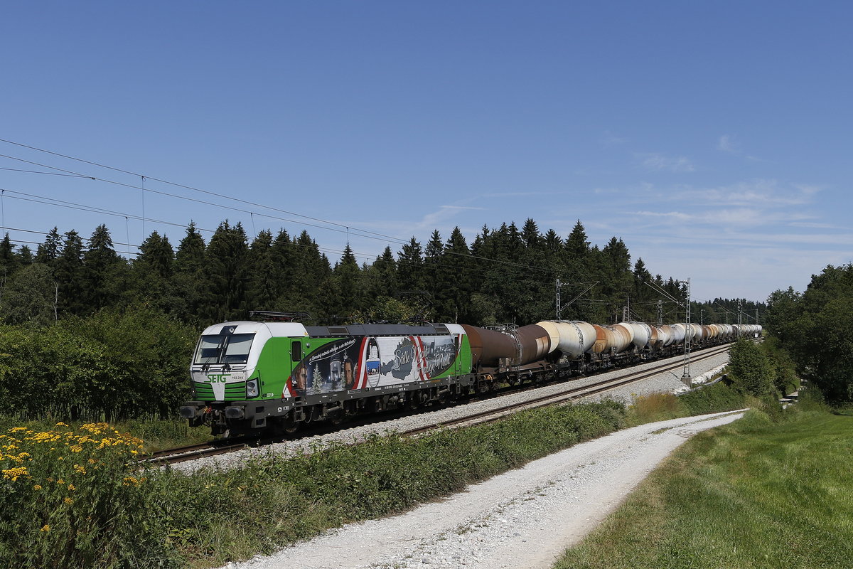 193 219  Stille Nacht  mit einem Schlammkreidezug am 15. August 2018 bei Grabenst�tt.