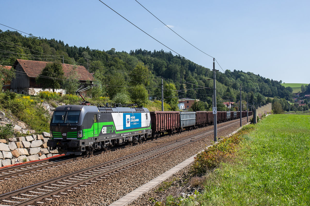 193 238 mit einem gemischten G�terzug am 23. August 2017 bei Wernstein.