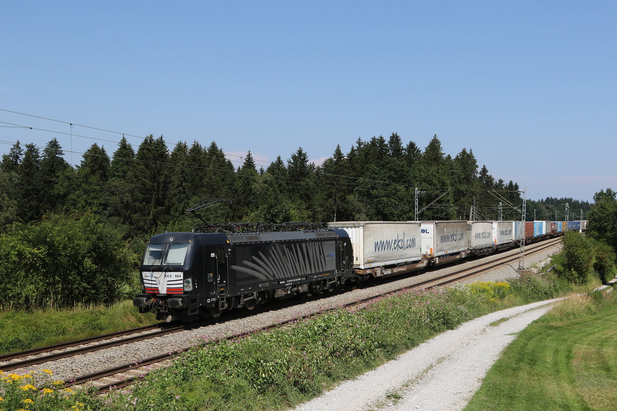 193 664 mit dem  Ekol  auf dem Weg nach M�nchen am 11. August 2020 bei Grabenst�tt im Chiemgau.