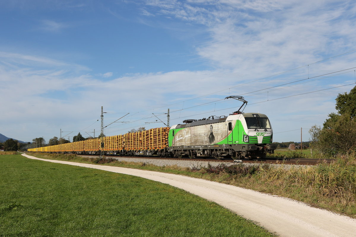 193 831  Christian Doppler  war mit einem Holzzug am 9. Oktober 2020 bei �bersee am Chiemsee in Richtung Salzburg unterwegs.
