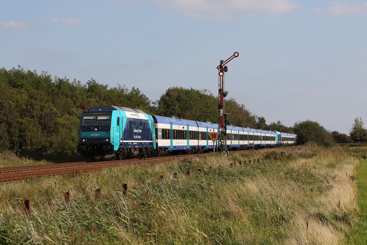 245 202 war am 15. September 2023 bei Klanxb�ll in Richtung Westerland unterwegs.