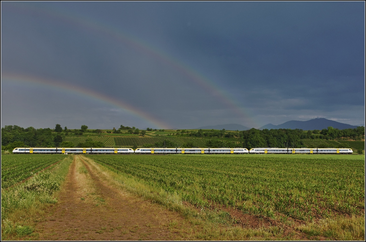 463 018 + 463 007 + 463 005 mit doppeltem Regenbogen bei Buggingen. Juni 2022.