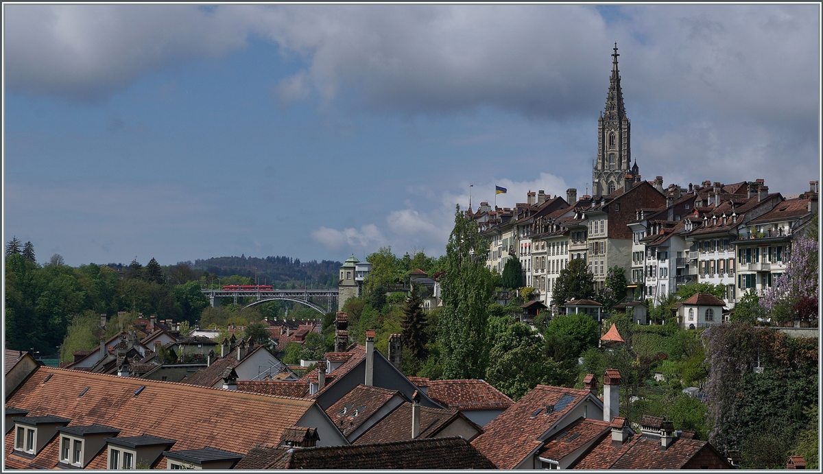 Ein Berner Tram ist auf der Monbijou-Brücke unterwegs, wobei jedoch die prächtige Kulisse der Berner Altstadt mit dem Münster dem kleinen Zug fast die Show stiehlt. Das Bild entstand auf der Nydeggbrücke in der Nähe des Alten Tramdépôt. 

26. April 2022