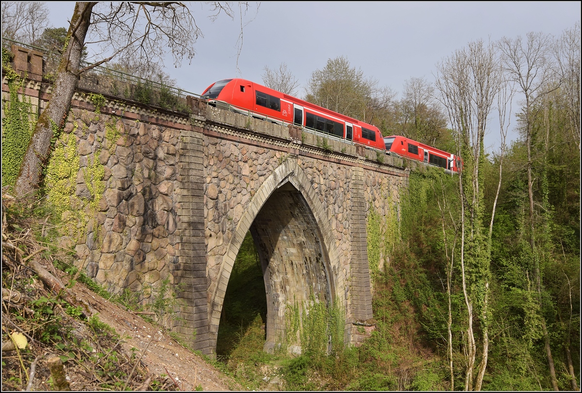 Eine Doppeltraktion 641 auf der Steinabr�cke in Tiengen. April 2019. 