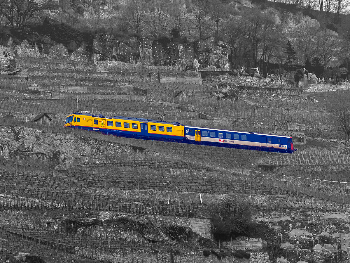 
Eine ungewöhnliche NPZ-Kompositionen: „Der Train des Vignes“ (S31) in der Zugskomposition SBB RBDe 560 131-5 „Saint-Saphorin“  mit dem Gepäck-Steuerwagen BDt EWII 50 85 82-33 931-5  fährt hier 25.02.2012 hoch über St. Saphorin, durch die die Weinberg-Terrassen des Lavaux am Genfersee, in Richtung Puidoux-Chexbres.

Ungewöhnlich ist hier nicht nur die Farbzusammenstellung, sondern auch die Tatsache dass es Gepäck-Steuerwagen ist. So kann der Zug ca, 8 t Gepäck zuladen, denn der Triebwagen hat schon ein Gepäckabteil von 4 t.

Bedingt durch die kahlen Weinterrassen habe ich hier mal eine etwas andere Bildbearbeitung gewählt.
