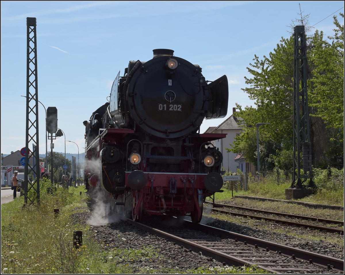 Endlich wieder Züge auf dem Schweizerbähnle (Etzwilen-Singen). 

Die letzte Hürde für den ersten Personenzug nach über 50 Jahren. Das Einfahrtsignal nach Singen. Nachdem es die Einfahrt noch um ein paar Minuten behindert hatte, konnte es nun losgehen in den Bahnhof. Doch aufgeben wollte es nicht, so gab es noch einen Zwangshalt. Singen, August 2020.