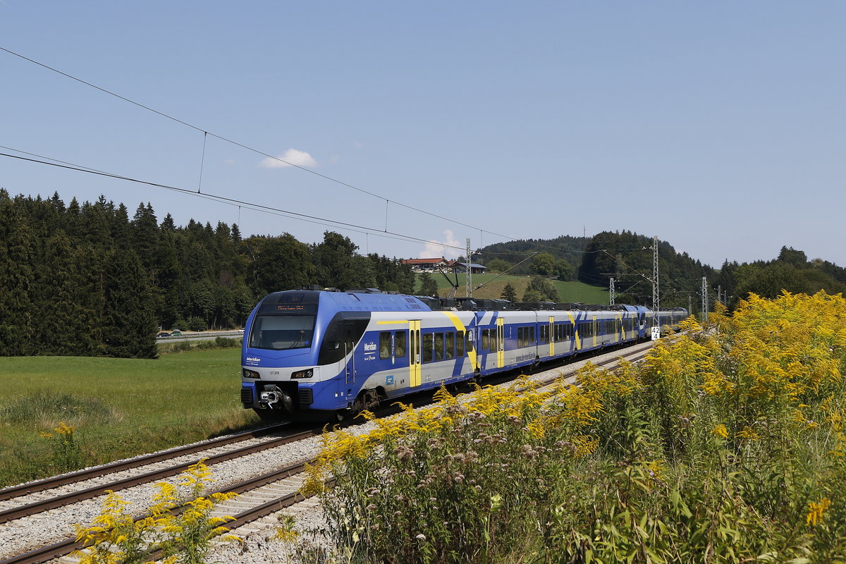 ET 319 auf dem Weg von Salzburg nach M�nchen. Aufgenommen am 19. August 2018 bei Grabenst�t.