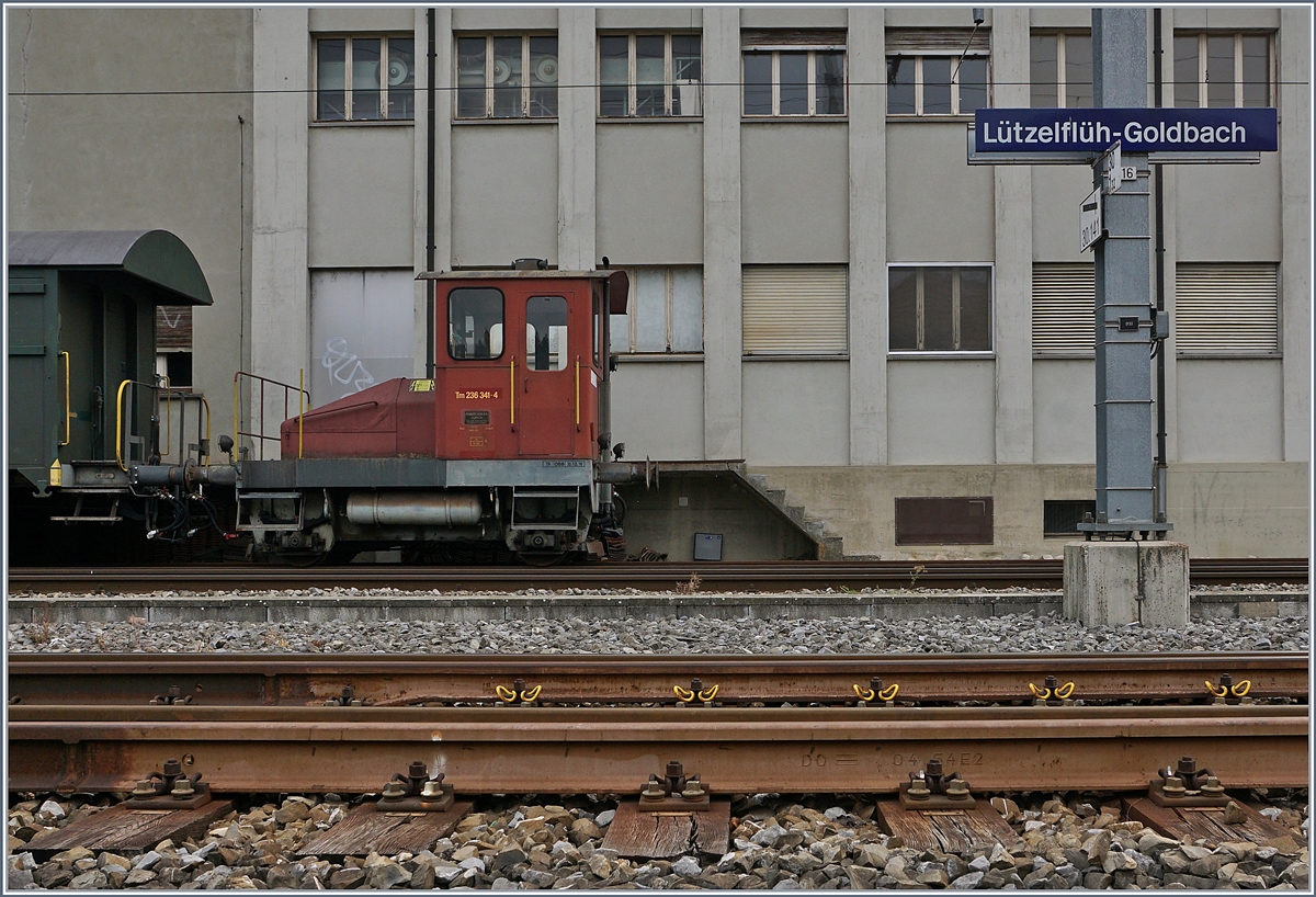 Im Bahnhof von Lützelflüh-Goldbach steht einer der noch wenigen verbliebenen, einst so zahlreichen  Stationstraktoren . Der Tm I mit der Nummer 236 341-4; allem Anschein nach scheint diese  Spitzmaus  in recht gutem Zustand hin und wieder im Einsatz zu sein.

21. September  2020
