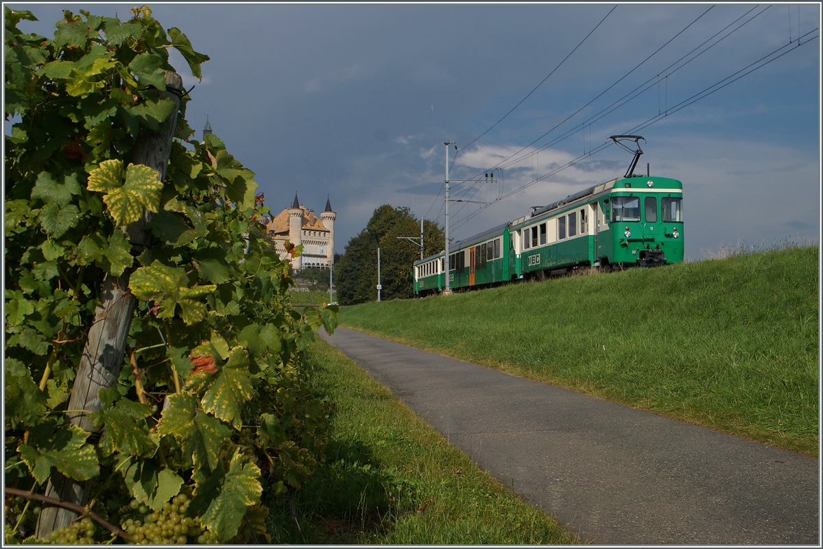 Nicht ganz scharf, aber dafür zuckersüss zeigen sich Trauben an den Reben der  La Côte , im Hintergrund ist der Be 4/4 N° mit seinem Regionalzug 128 von Morges nach Bière vor der angedeuteten Kulisse des Château de Vufflens zu sehen. 
8. Sept. 2014