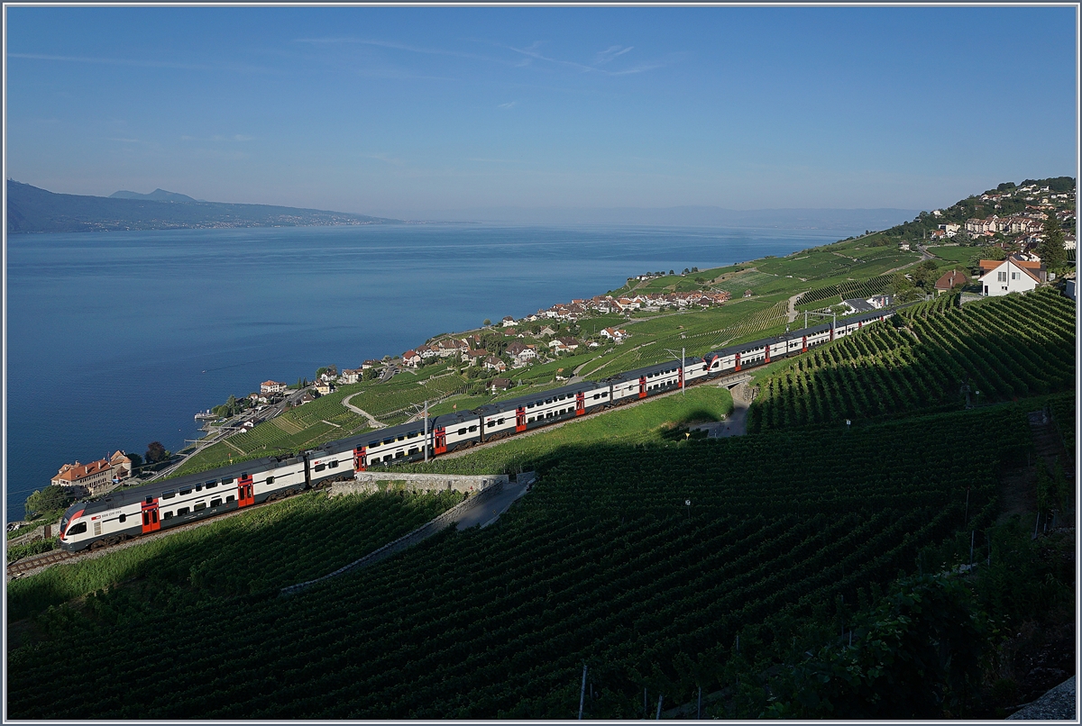Sommerfahrplan 2018: durch die baubedingte Sperrung der Strecke Lausanne - Puidoux-Chexbres verkehren während des Sommerfahrplan die RE Genève - Vevey via Chexbres weiter bis Fribourg. die Bilder zeigen die Zusatzzüge auf der  Train de Vignes Strecke  am frühen Morgen oberhalb von Rivaz, bei Chexbres.
27. Juli 2018
