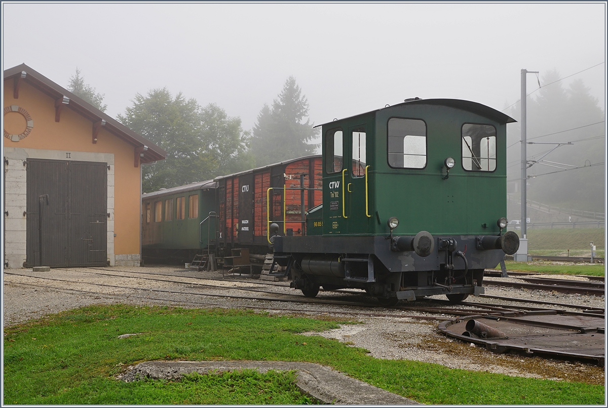 Spitzmaus in Grün und mit UIC Nummer: der CTVJ Tm I 102 (UIC 98 85 5230 320-4) steht in Le Pont.
28. August 2018