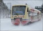 In die HzL Regio-Shuttles 251, 252, 253 des Seehäsle dürfen nur Güter einsteigen.