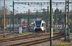 Neue Verbindung: Dieses Gleis wurde im Planverkehr von Personenzügen seit bestimmt 20 Jahren nicht befahren.