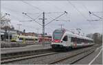 Seehas und Seehäsle in Radolfzell: Während der SBB RABe 521 203 als Seehas Radolfzell in Richtung Engen verlässt, warten im Hintergrund die beiden DB 650 023 und 650 115 als Seehäsle auf die baldige Abfahrt nach Stockach. 

15. März 2025