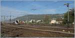Leider stand der TGV Lyria 4411 etwas sehr weit entfernt, um ihn im Rangierbahnhof von Biel zwischen zwei Semaphor-Ausfahrsignalen zu fotografieren.