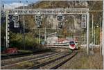 Vor der markanten Signalbrücke von Varzo erreicht ein SBB RABe 503 (ETR 610) als EC 37 von Genève nach Venezia unterwegs, den Bahnhof von Varzo.