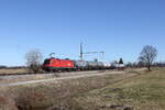 1016 028 war mit einem Kesselwagenzug am 25. Februar 2026 bei �bersee auf dem Weg nach M�nchen.