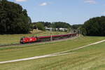 1116 238  Osttirol  aus Salzburg kommend am 28. Mai 2026 bei Axdorf im Chiemgau.