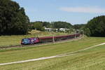 1116 203  Eurovision Song Contest  aus Salzburg kommend am 28. Mai 2026 bei Axdorf im Chiemgau.