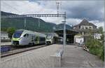 In Grenchen Nord kreuzen sich der BLS MIKA RABe 528 109 als IR 1869 von Biel/Bienne nach Basel und der BLS MIKA RABe 528 134 als IR 1868 auf der Fahrt von Basel SBB nach Biel/Bienne. 

20. Mai 2026