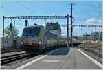 Leider nicht wie vorgesehen auf Gleis 3 sondern auf Gleis 6 fuhr der von der BLS Re 475 404 geführte AKE Rheingold durch Lausanne.