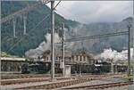 Es ist immer wieder erfreulich, EINE Dampflok zu sehen; in Meiringen zeigt die der BDB (Brünig Dampf Bahn) gleich zwei: die Brünig Bahn  Talbahn  G 3/4 208 und die  Bergbahn  HG 3/3 1068