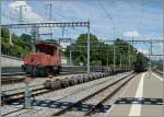 Die schmalspurge BAM/MBC besitzt f�r ihren recht umfangreichen Rollbockverkehr in Morges zwei normalspurige Te III, hier ist der Te III 147 zu sehen.