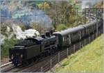 Die Elefanten kommen! Und am Schluss schiebt die formschöne B 3/4 1367 nach.