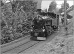 Die BFD HG 3/4 N° 3 der Blonay Chamby Bahn verlässt in Chantemerle; wobei es viel Fingerspitzengefühl erfordert, die Lok mit dem schweren Zug auf den feuchten Schienen in der straken