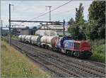 Auf den ersten Blick scheint der Abschnitt Vernier - Vernier Meryrin Cargo Dreispurig ausgebaut zu sein, in Wirklichkeit f�hrt die SBB Cargo Mak Am 843 069  (Am 98 85 5 843 069-6 CH-SBBC) mit ihren Kesselwagen auf einem  Industriegeleis als Rangierfahrt in Richtung Vernier-Meyrin. 

1. Juni 2026