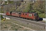 BLS Re 4/4 161 - 195 konstruiert von 1964 bis 1983.