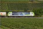 Richtung Basel ist Re 485 017 der BLS unterwegs.