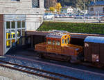 
Zum Mega Bernina Festival (50 Jahre Blonay Chamby) konnte man sie im Herbst 2018, im ursprünglichen rotbraun,  bei der Museumsbahn Blonay Chamby sehen, nun ist sie wieder bei der Berninabahn in Poschiavo.
Das RhB  Eselchen  161 bzw. der Rangiertraktor RhB Ge 2/2 161, ex BB Ge 2/2 61 steht am 02.11.2019 in Poschiavo.

Von der kleinen Elektrolokomotive Ge 2/2 wurden nur zwei Loks von diesem Typ für Berninabahn (BB), heute der Rhätischen Bahn (RhB), gebaut, ursprünglich die BB 6 und BB 62, seit 1961 mit den Nummern RhB 161 und 162. Für das Mega Bernina Festival der Museumsbahn Blonay Chamby wurde im Juli 2018 die 161 wieder in die ursprüngliche Farbgebung der Berninabahn in „braun“ um lackiert und erhielt einen Scherenstromabnehmer. Leider hat sie nun wieder einen Einholmstromabnehmer.