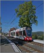 Aus der Grossstadt aufs Land - mit der BLT: Von Basel bzw. wohl Dornach kommend hat ein BLT Zug der Linie 10 das im Elsass gelegene Leymen erreicht und wird nach der Kreuzung mit dem Gegenzug nach Rodersdorf im Kanton Solothurn weiterfahren.

26. Sept. 2023