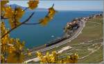 Frühling im Lavaux: ein RABe 511 als RE 3217 von Genève nach Vevey kurz nach Rivaz.