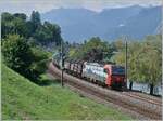 Die von SBB Cargo International angemietete 193 470 ist mit dem Novalis-Güterzug kurz nach Villeneuve unterwegs.