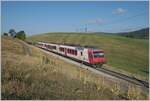 Der Travys RBDe 560 384-0 (RBDe 560 DO TR 94 85 7 560 384- CH-TVYS)  Lac Brenet  mit B und ABt ist als Regionalzug von Le Brassus nach Vallorbe kurz vor Les Charbonnières unterwegs.