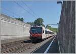 Der Bahnhof von Concise mag kaum durch einladen, hier auszusteigen, doch wie das Bild im Hintergrund zeigt, lohnt allein die herrliche Landschaft schon, den Zug zwischen zwei Betonmauren zu verlassen. Im Bild ein einfahrender SBB Domino als R13 von Biel/Bienne nach Yverdon. 

5. Juli 2025