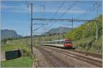Ein RE von Frasne nach Neuchâtel erreicht Auvernier. 

16. Mai 2017