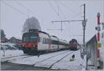 Ein (noch) eher ungewohntes Bild statt TPF Flirts kreuzen sich nun in der Dienst- und Kreuzungsstation Vuisternens-devant-Romont im Wechesl mit den Flirts der TPF SBB- und TPF- Domino Züge, wobei